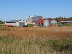 Farm