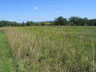 Prairie
