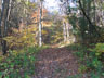 Wild River Trail