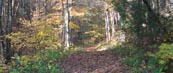 State Park