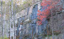 Rocks